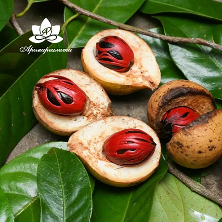 Мускатный орех - водорастворимый докритический СО2 экстракт (микроэмульсия) 20мл Мускатный орех - водорастворимый докритический СО2 экстракт (микроэмульсия) 20мл